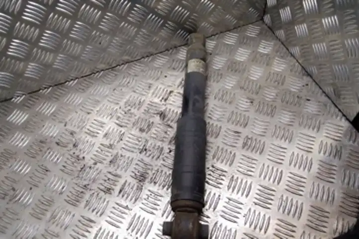 Opel Meriva (2010 - 2014)  22263945 Задний амортизатор с пружиной