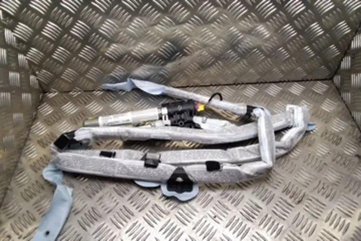 Audi A6 (2004 - 2008)  30359398A Боковая подушка безопастности( (крыша)