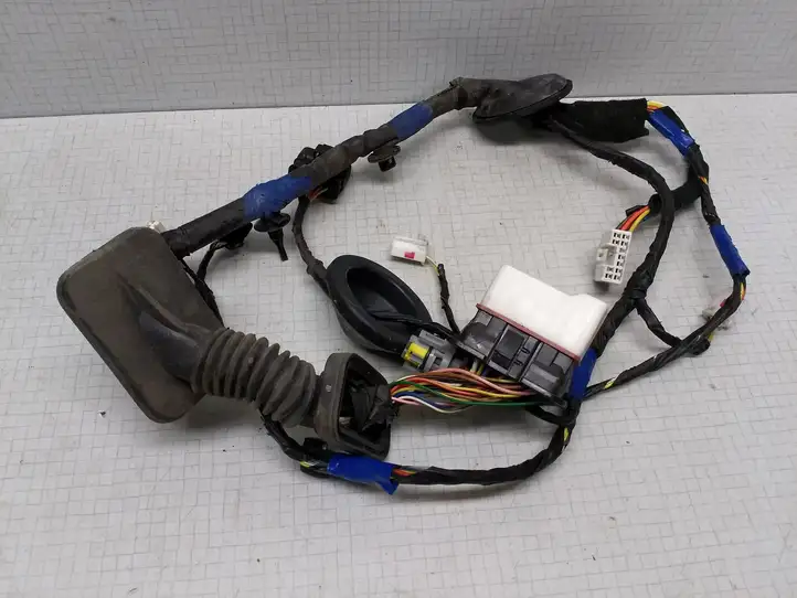 Hyundai Sonata (2007 - 2010)  916103K132 Проводка передних дверей