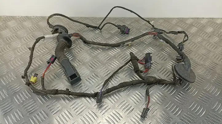 Audi RS 7 (2014 - 2018)  4G8971030DF Проводка передних дверей