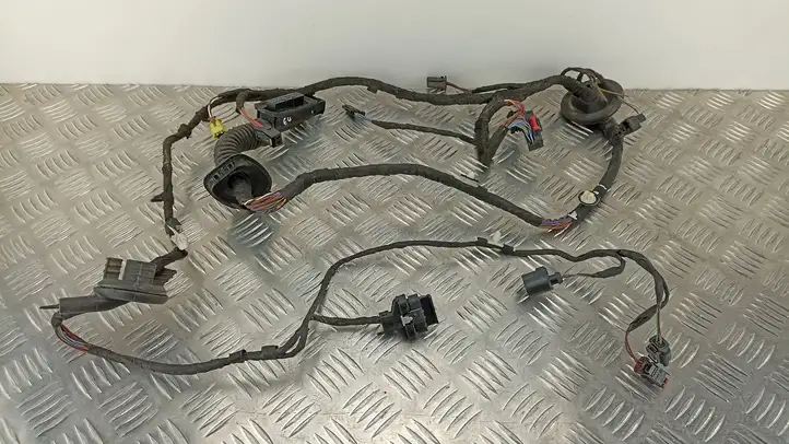 Audi RS 7 (2014 - 2018)  4G8971030DF Проводка передних дверей