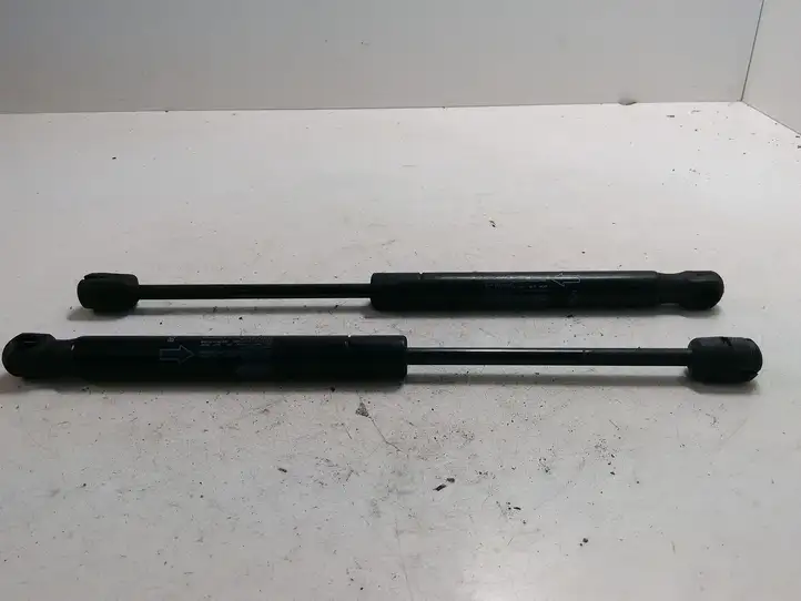 Land Rover Range Rover Evoque (2011 - 2015)  BJ3216C826AA  Амортизатор капота