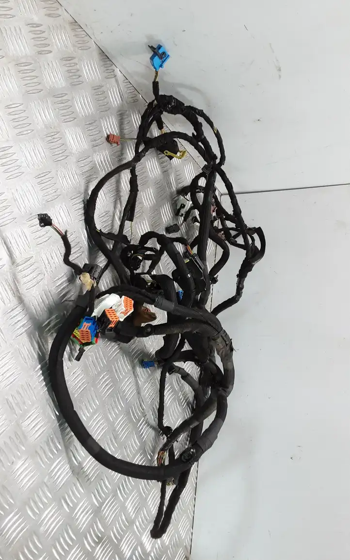 Citroen C5 (2004 - 2008) 9672513180 Прочая электропроводка — фото 1