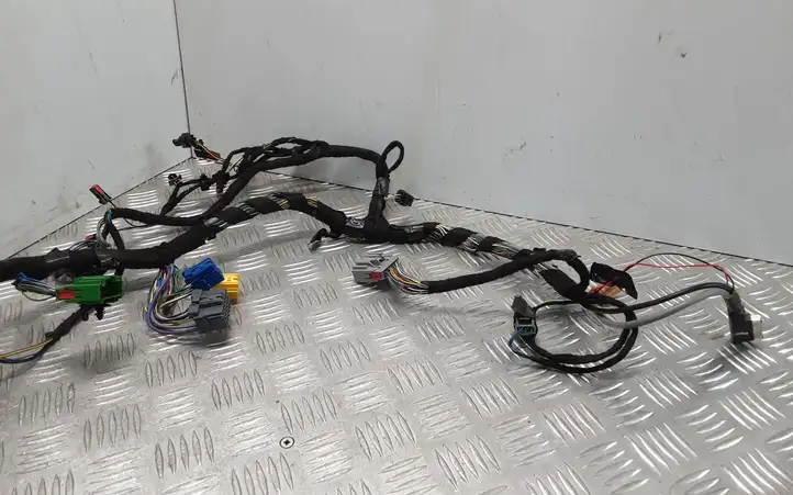 Land Rover Range Rover Sport L494 (2009 - 2013) DK6214B079DD Прочая электропроводка — фото 4