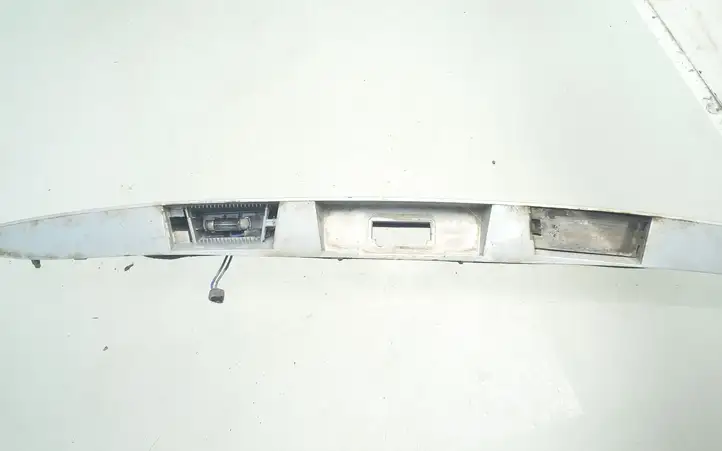 Renault Scenic I (1996 - 2003) 7700428465 Подсветка номера — фото 2