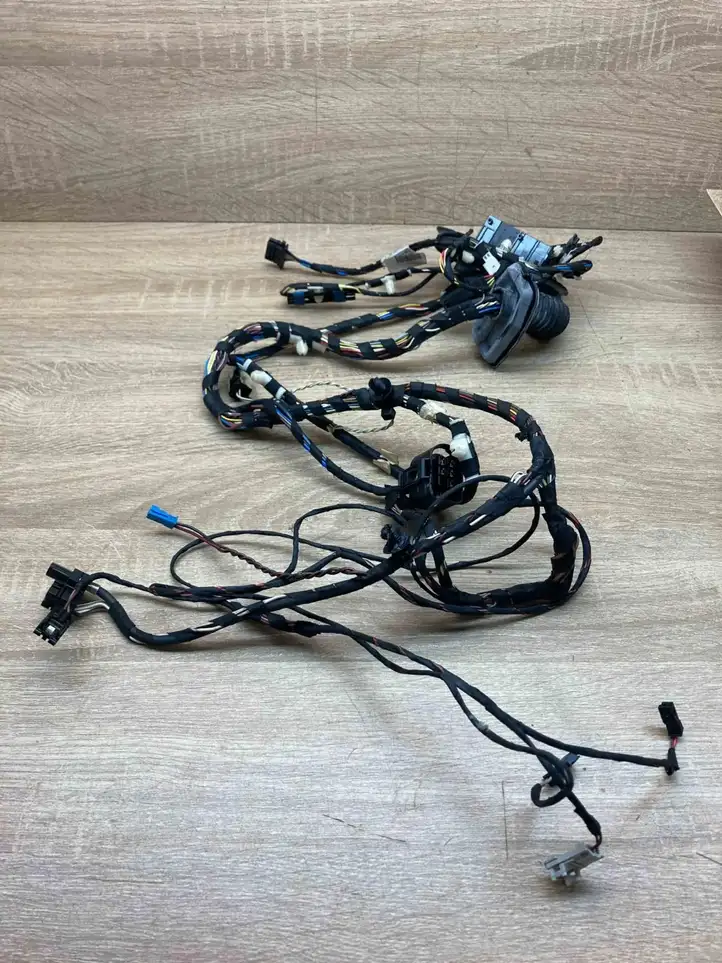 BMW X3 F25 (2010 - 2017) 9252376 Проводка передней двери — фото 1
