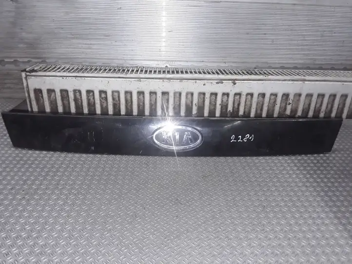 Kia Picanto (2004 - 2007) 8731107110 Подсветка номера — фото 1