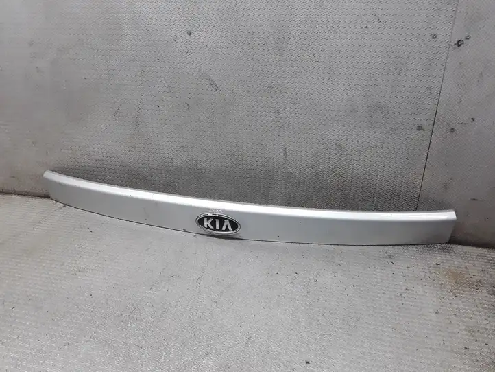 Kia Carens II (2006 - 2012) 873111D000 Подсветка номера — фото 1