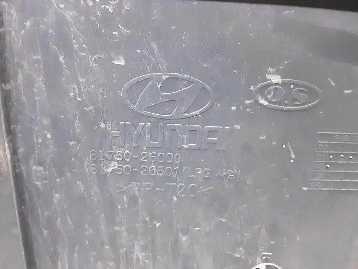 Hyundai Santa Fe (2000 - 2005) 8175026000 Обшивка багажника — фото 3
