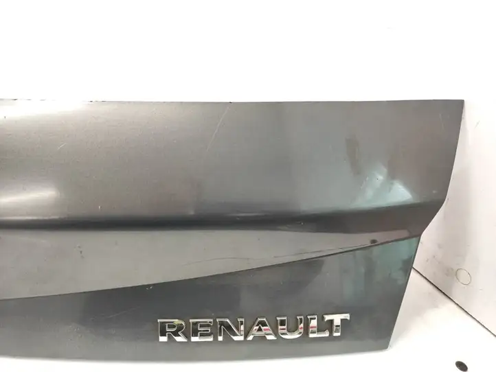 Renault Megane II (2006 - 2008) TE266 Подсветка номера — фото 5