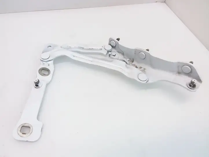 Tesla Model 3 (2017 - 2023) Петли крышки багажника — фото 3