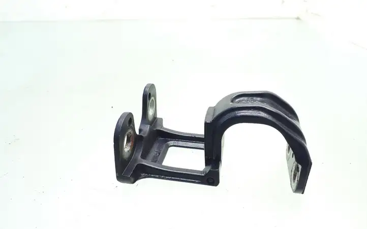 Audi A4 (2000 - 2006)  8H0825307 Петля (петли) задней крышки