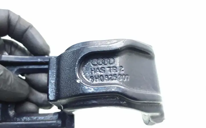 Audi A4 (2000 - 2006)  8H0825307 Петля (петли) задней крышки