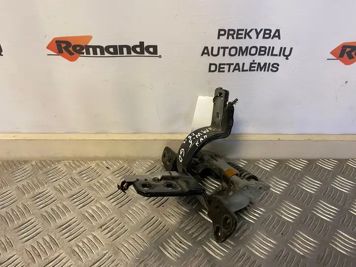 BMW 5 E60 E61 (2004 - 2010) 7061384 Петли крышки багажника — фото 1