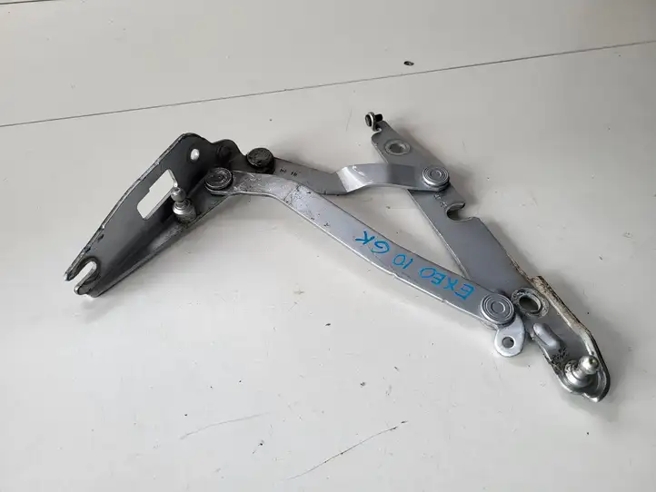 Seat Exeo (3R) (2008 - 2013)   Петля (петли) задней крышки