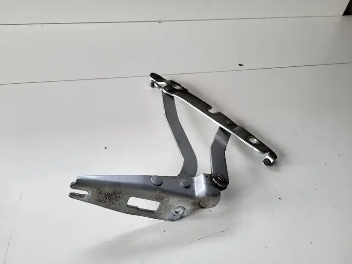 Seat Exeo (3R) (2008 - 2013)   Петля (петли) задней крышки