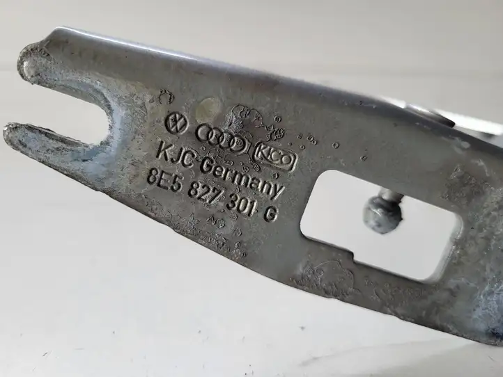 Seat Exeo (3R) (2008 - 2013)   Петля (петли) задней крышки