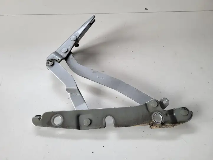 Seat Exeo (3R) (2008 - 2013)   Петля (петли) задней крышки