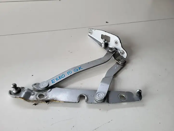 Seat Exeo (3R) (2008 - 2013)   Петля (петли) задней крышки