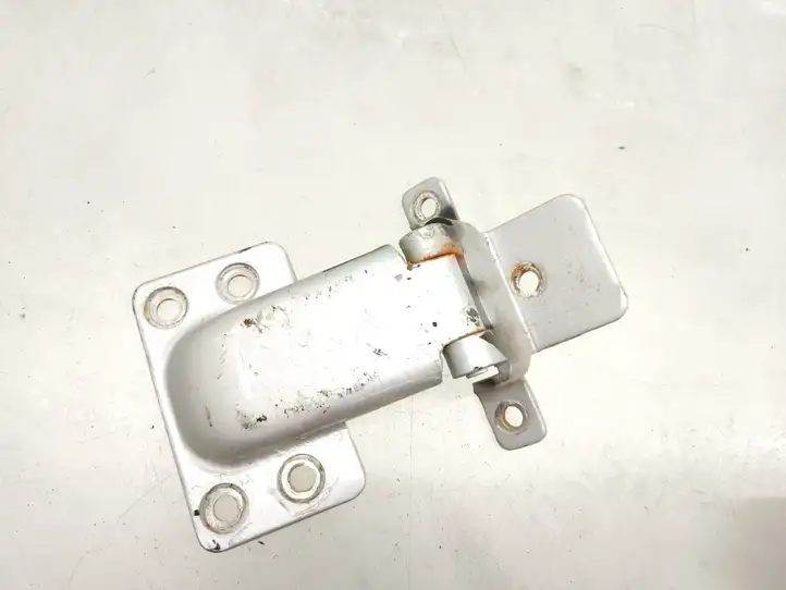 Fiat Ducato (2002 - 2006)   Петля (петли) задней крышки