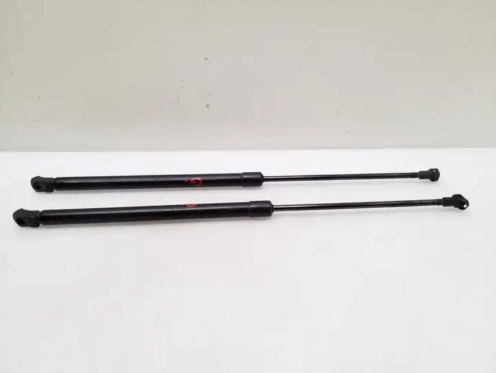 Nissan Qashqai (2013 - 2017) 904504EA0A Амортизатор крышки багажника — фото 3