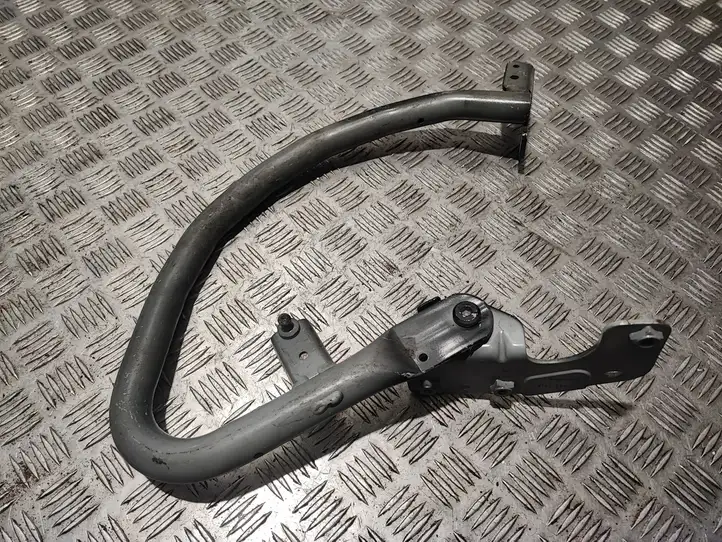 Volvo S60 (2013 - 2018)  31301984 Петля (петли) задней крышки