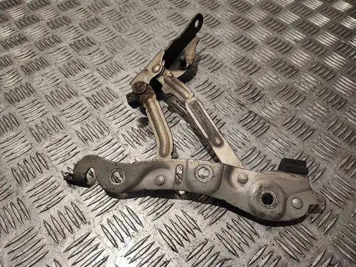 Volvo S80 (2006 - 2009)  9159704 Петля (петли) задней крышки