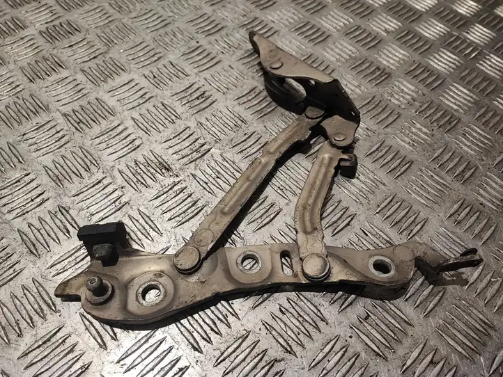 Volvo S80 (2006 - 2009)  9159704 Петля (петли) задней крышки