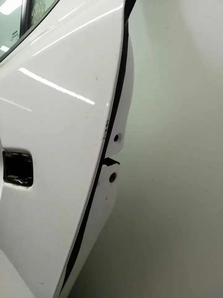 Nissan Leaf I (ZE0) (2010 - 2017) Задняя дверь — фото 7