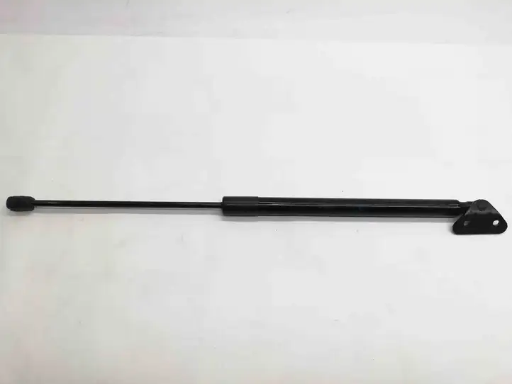 BMW X1 E84 (2009 - 2015)  51242990136 Амортизатор с пружиной