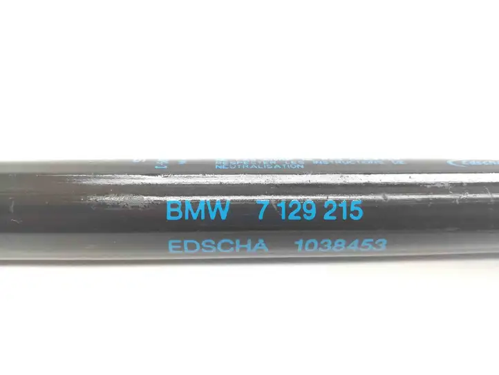 BMW 3 E92 E93 (2005 - 2014) 7129215 Амортизатор с пружиной — фото 2