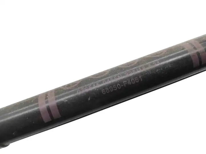 Toyota C-HR I (2016 - 2022) 68950F4061 Амортизатор с пружиной — фото 3