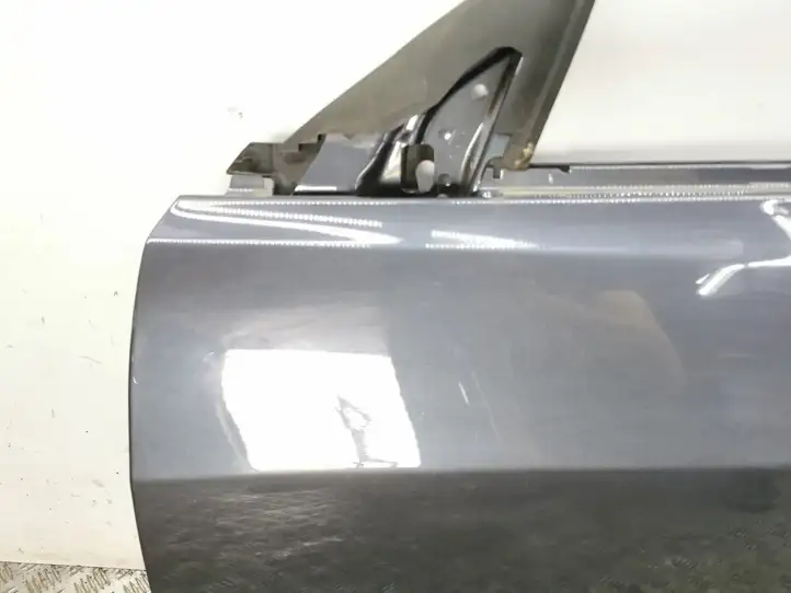 Tesla Model 3 (2017 - 2023) Дверь — фото 4