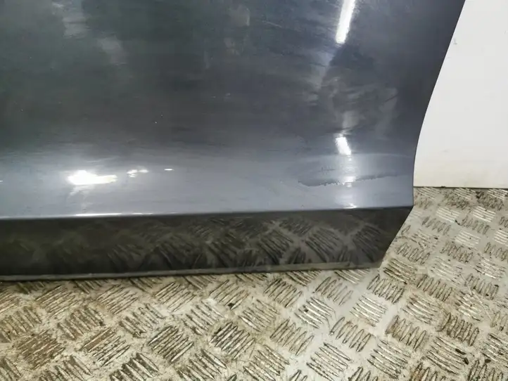 Tesla Model 3 (2017 - 2023) Дверь — фото 10