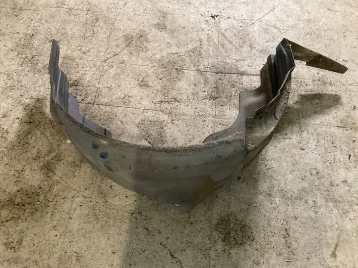 Renault Latitude (2010 - 2014)   Задний подкрылок