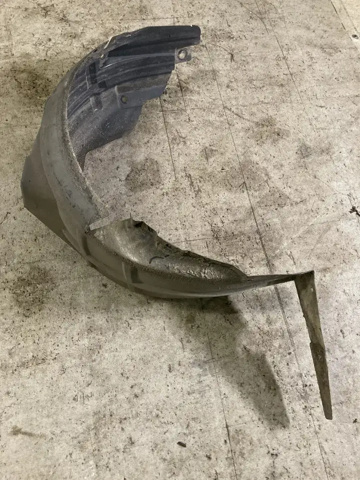 Renault Latitude (2010 - 2014)   Задний подкрылок