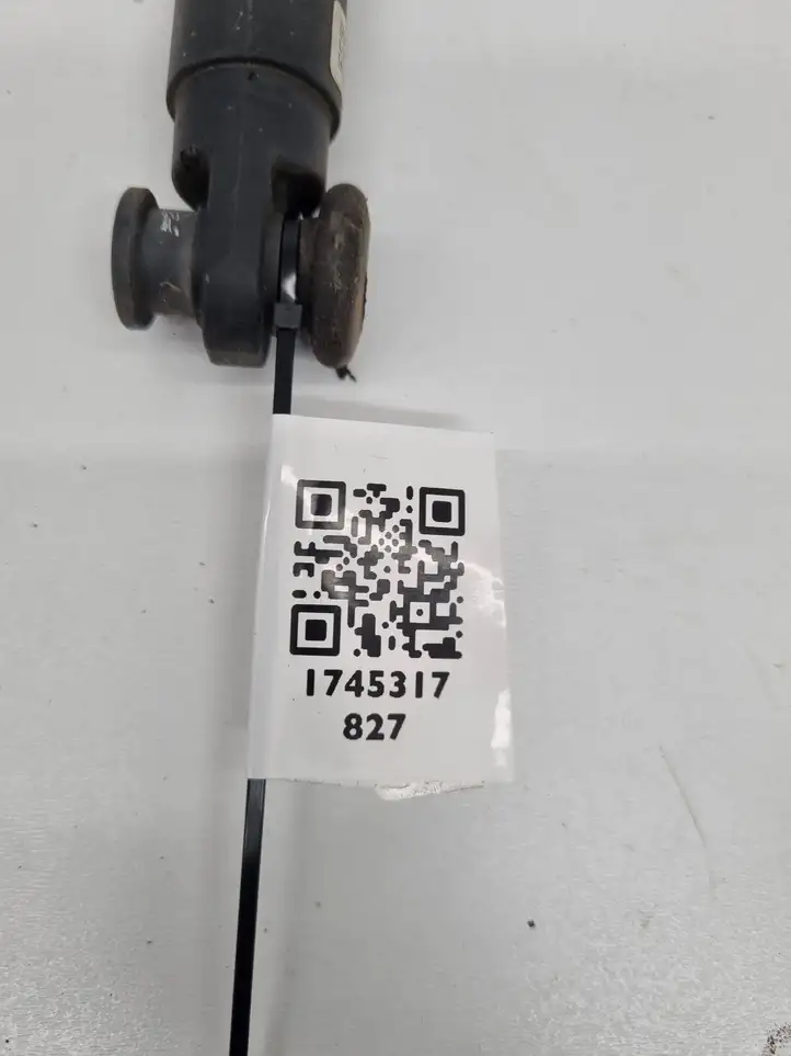 BMW X5 G05 (2018 - ) 7467202 Ограничитель крышки багажника — фото 9