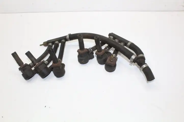 Volkswagen Touareg I (2002 - 2010) 110R000016 Жиклер ГБО — фото 1