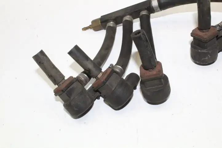 Volkswagen Touareg I (2002 - 2010) 110R000016 Жиклер ГБО — фото 2