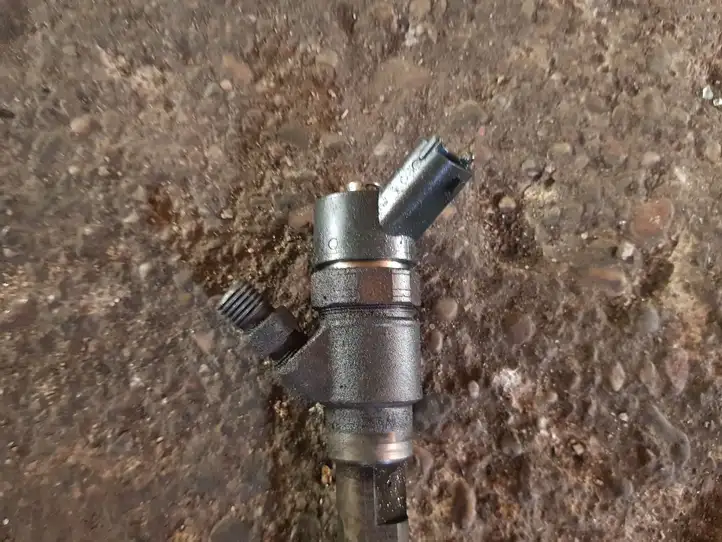 Chevrolet Captiva (2006 - 2011) 0445110270 Форсунка — фото 3