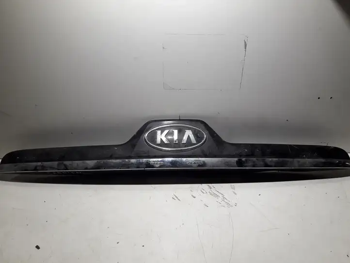 Kia Carnival (2002 - 2006) Подсветка номера — фото 1