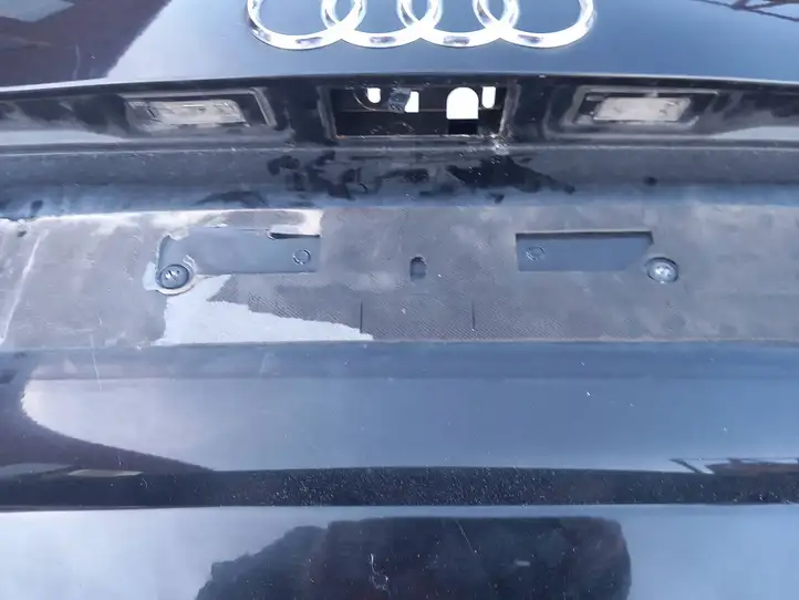 Audi Q5 SQ5 (2008 - 2012) Крышка багажника — фото 2