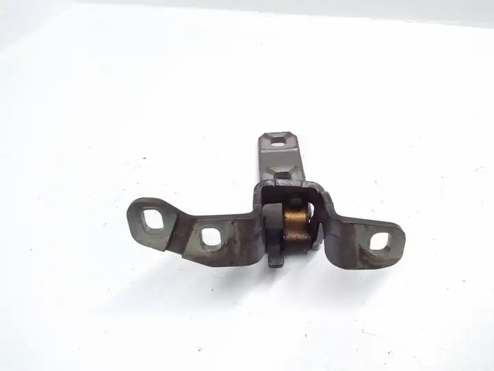 BMW X5 E70 (2006 - 2013) 7149627 Петли крышки багажника — фото 3