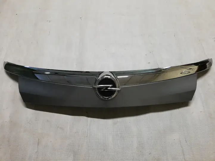 Opel Insignia A (2008 - 2017) Подсветка номера — фото 1