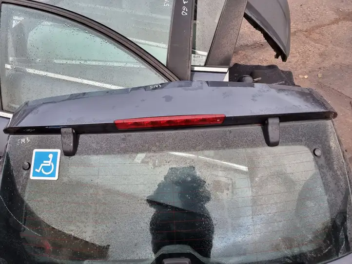 Chevrolet Captiva (2006 - 2011) Крышка багажника — фото 3