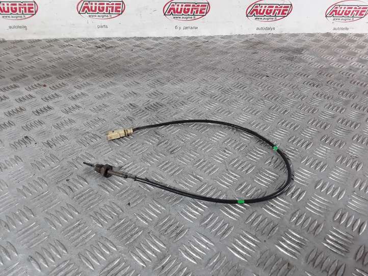 04L906088CD Volkswagen Tiguan Išmetamųjų dujų temperatūros daviklis