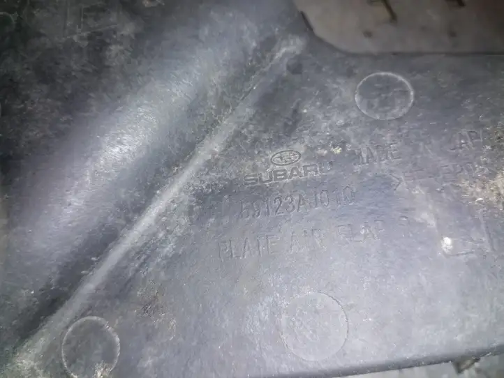Subaru Outback (2009 - 2014) 59123AJ010 Задний брызговик — фото 3