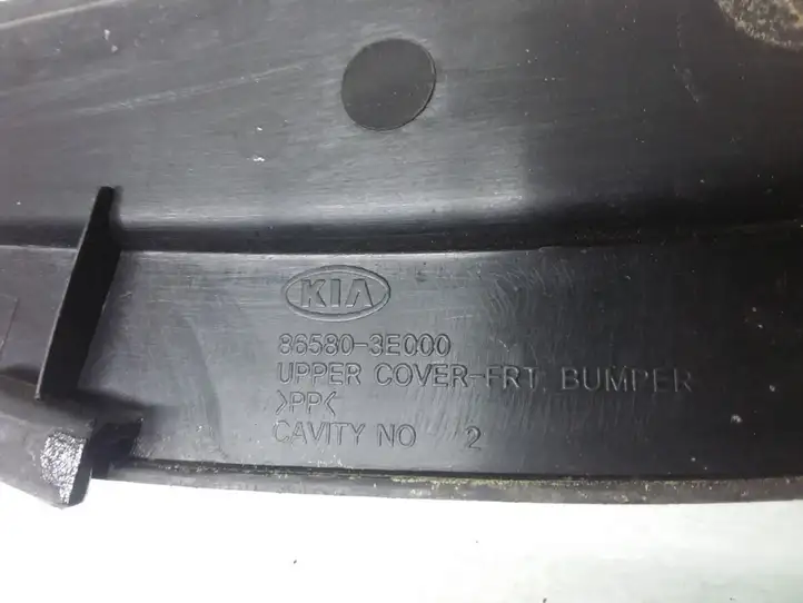 Kia Sorento (2002 - 2006) 865803E000 Облицовка радиатора — фото 3