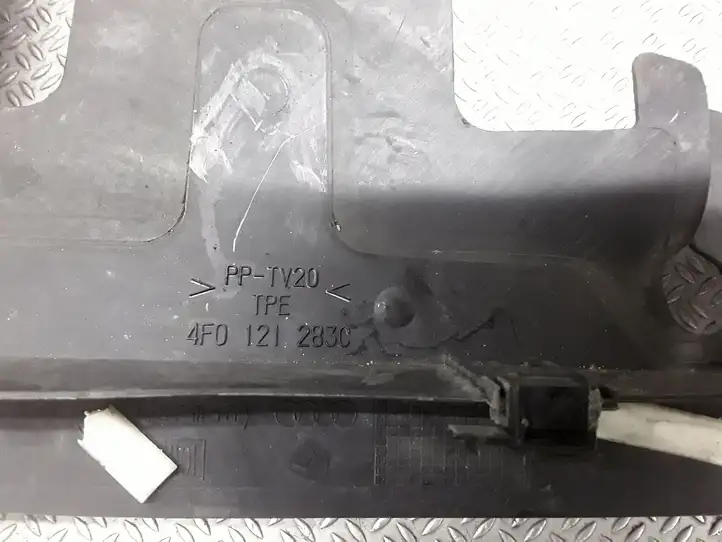Audi A6 S6 C6 4F (2004 - 2008) 4F0121283C Дефлектор воздуха — фото 2