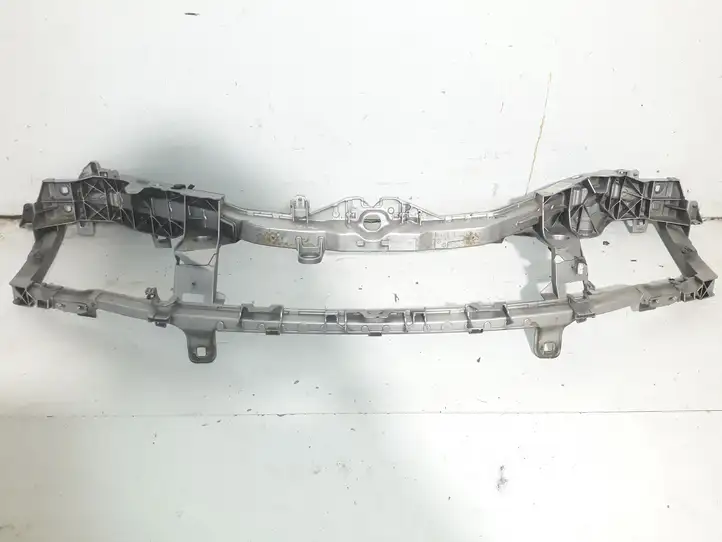Ford Focus (2005 - 2008)  4M518B041 Панель радиаторов (телевизор)